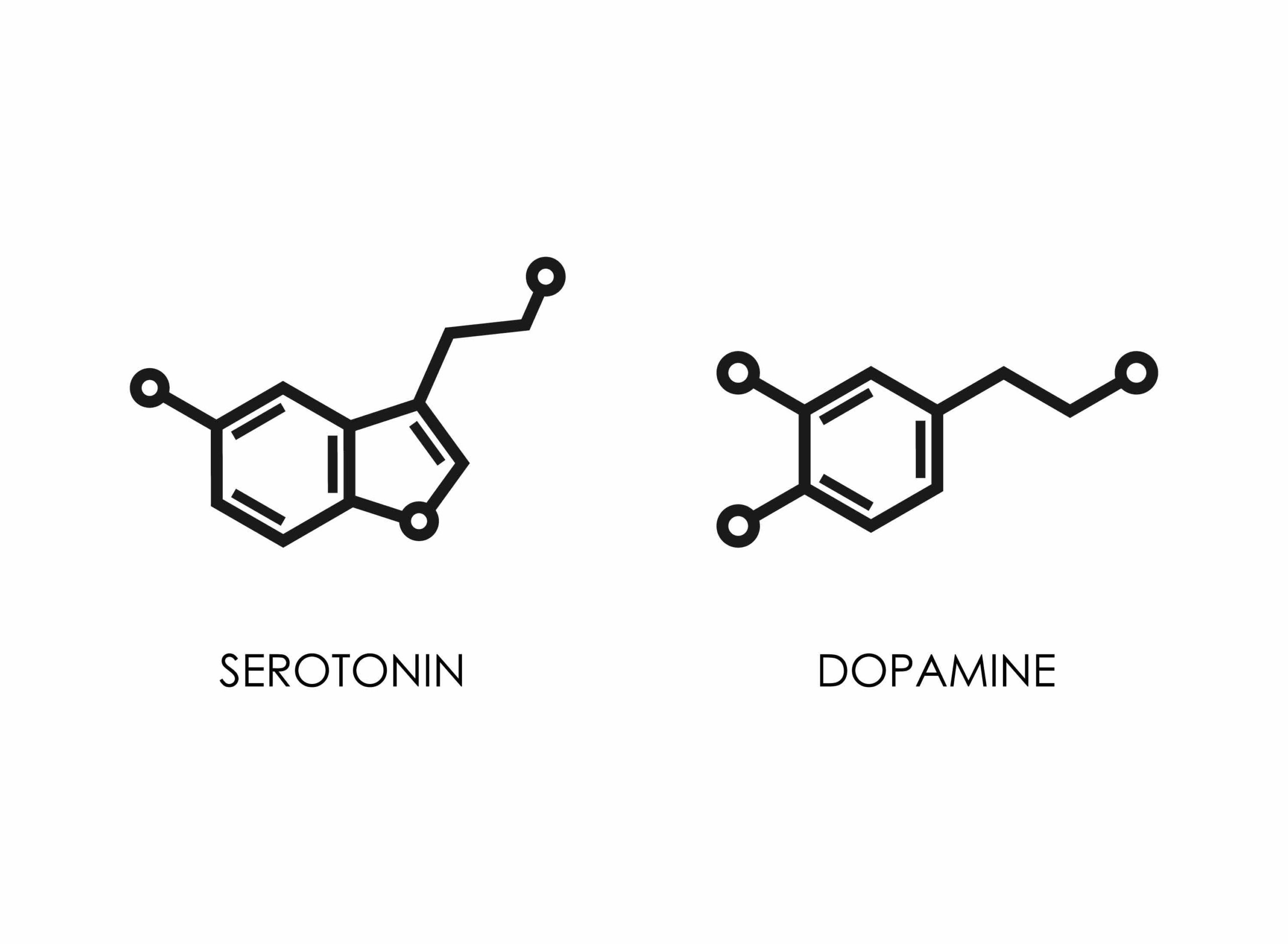 Sérotonine versus dopamine.